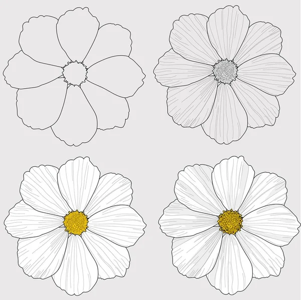 Virág Fehér Rózsa Esküvő Koncepció — Stock Vector