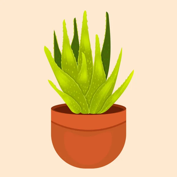 Vecteur Aloe Vera Avec Des Gouttes Eau Fraîche Pot Brun — Image vectorielle
