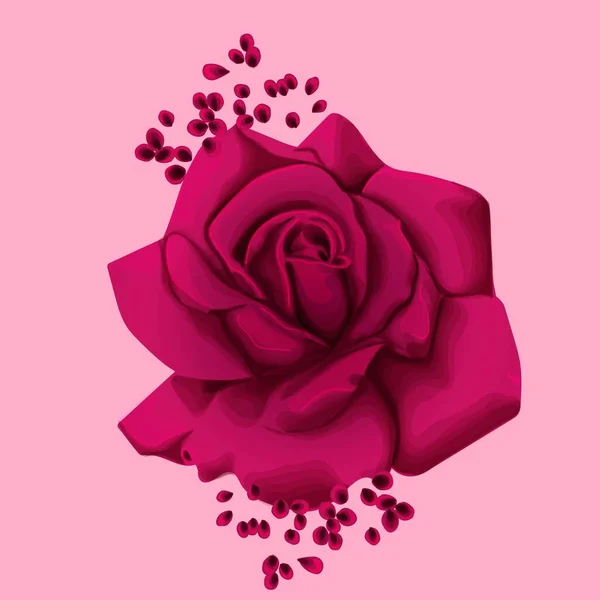 Rose Background Greeting Cards Invitations Wedding Birthday — 스톡 벡터