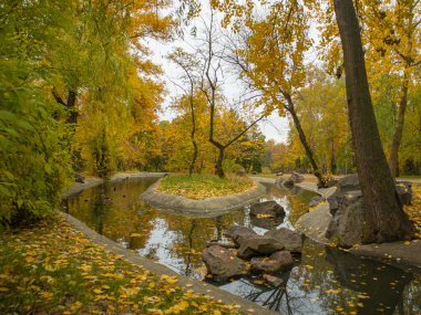 Park göletleri. Suyun yüzeyi düşen yapraklarla doludur.