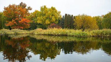 Renk değiştiren sonbahar bitkilerinin arka planına karşı bir park göleti