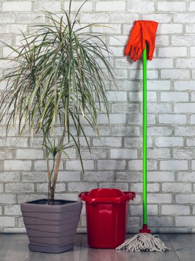 Ev temizleme aletleri. Eldiven, paspas, kova. Dekoratif avuç içi.