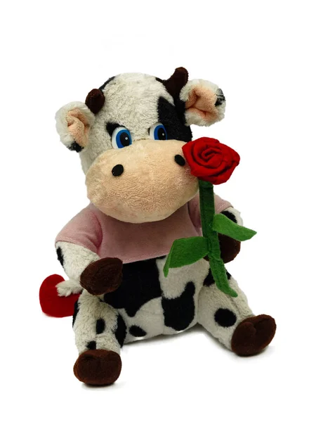 Funny Soft Toy Cow Flower White Background — Stock fotografie