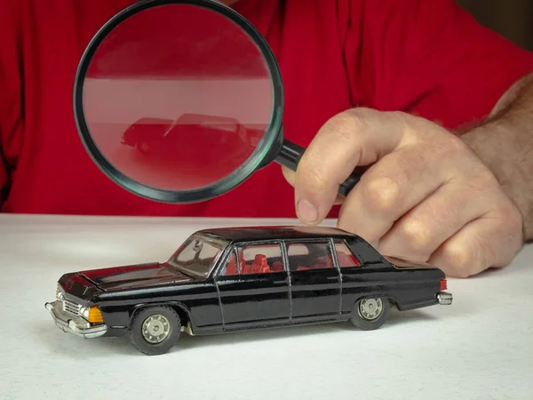 Exploring a new specimen in the collection of toy car models