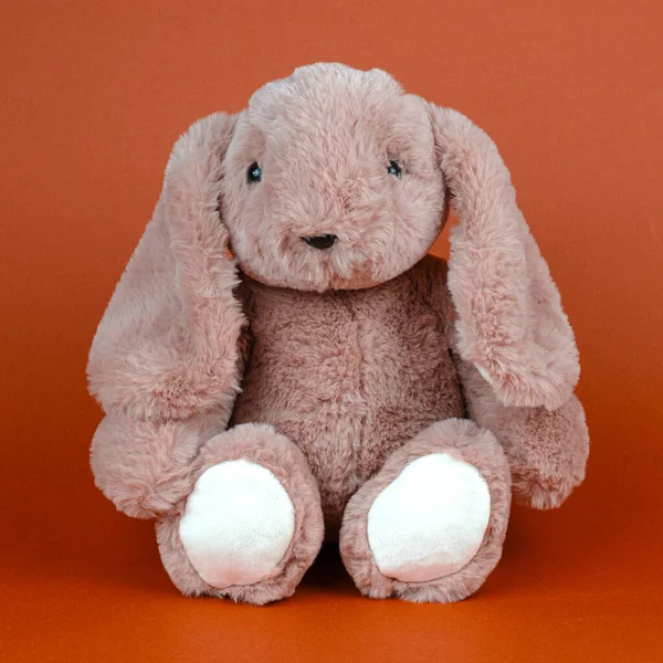 Кролик Лопатевим Вухом Карликовий Таран Яка Іграшка — стокове фото