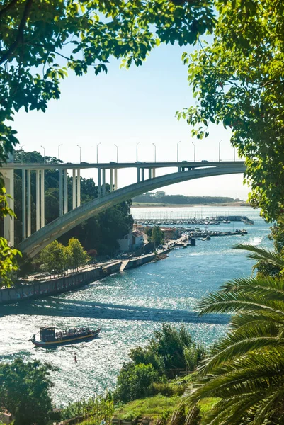 Vista da Ponte Arrabida e do rio Douro e uma paisagem de composição cênica de barco com armação verde de árvores e relva - Porto, Portugal — Fotografia de Stock