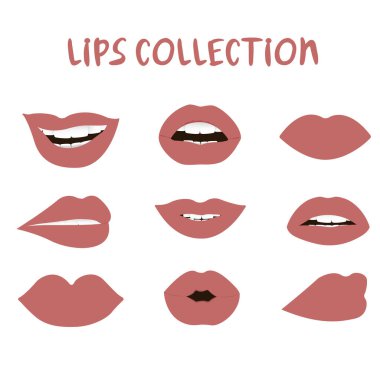 Vektör çizimi. Dişi dudaklarının değişik şekilleri var.