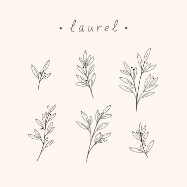 Farklı yaprak tipleri - simge seti. Düz çizgi vektör illüstrasyonu.