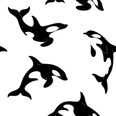 Orka 'lı basit, kusursuz, modaya uygun hayvan deseni. Çizgi film vektör illüstrasyonu.