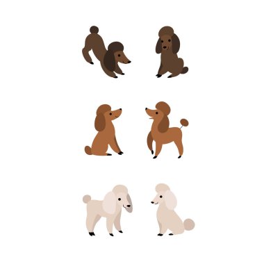 Fino ikonu seti. Farklı bir kaniş türü. İzler, giysiler, ambalaj, çıkartmalar için vektör illüstrasyonu.