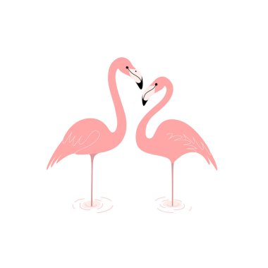 Bir çift flamingo, birbirini seven çift. Dekoratif tebrik kartı - kuşlu düğün davetiyesi.