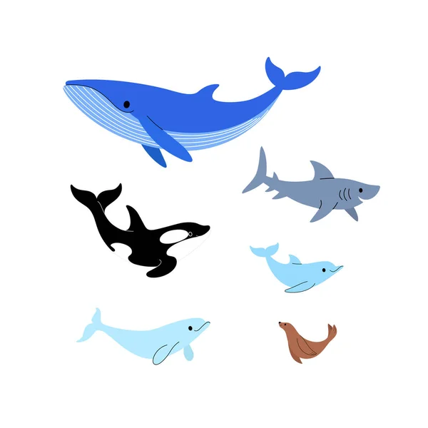 Иконный Набор Морских Существ Кит Косатка Акула Дельфин Морской Лев — стоковый вектор