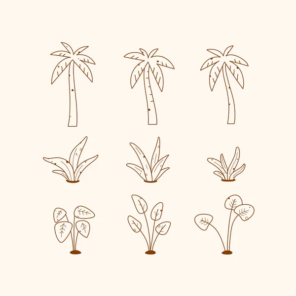 Différents Types Palmiers Feuilles Tropicales Illustration Vectorielle Dessin Animé Plat — Image vectorielle
