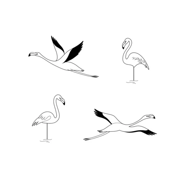 漫画の鳥のアイコンセット フラミンゴの異なるポーズ ステッカーのベクトルイラスト — ストックベクタ