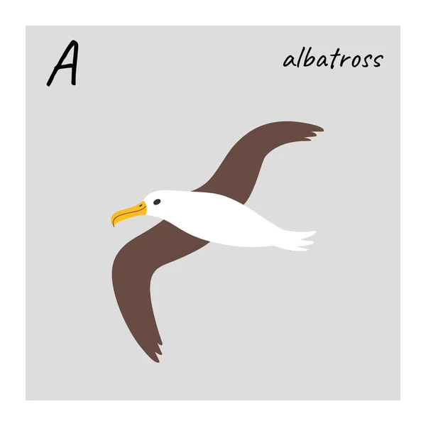 Lindo Albatros Personaje Dibujos Animados Pájaro Ilustración Vectorial Estilo Plano — Archivo Imágenes Vectoriales