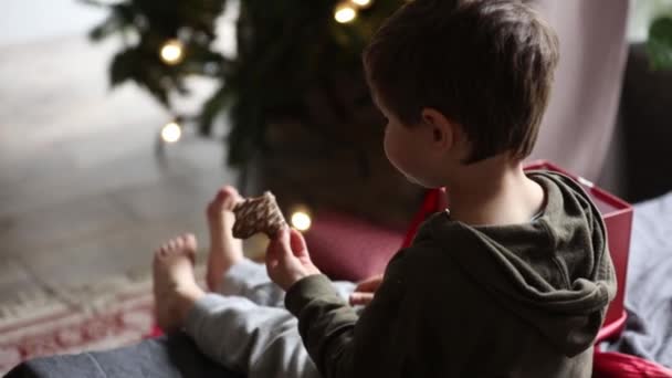 Petit Garçon Mangeant Des Biscuits Assis Sur Table — Video