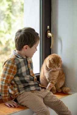Kırmızı İskoç kedisi pencere pervazında oturuyor ve yanında küçük bir çocuk duruyor. 