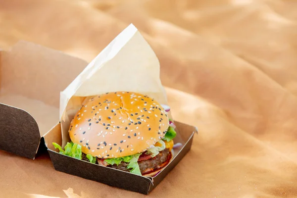 Tasty Burger Box Brown Color Cloth — Foto Stock