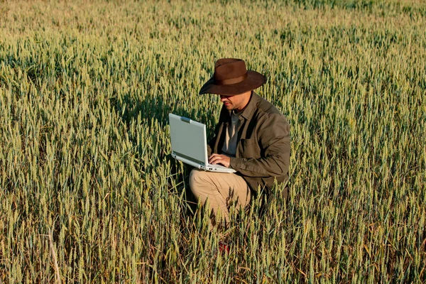 Farmer in hat with laptop computer on wheat field