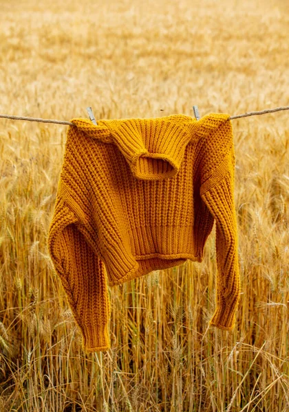 Pull Jaune Sur Corde Dans Champ Blé — Photo