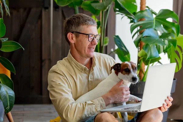 Stylish man with a dog and laptop sits in soft chair at home