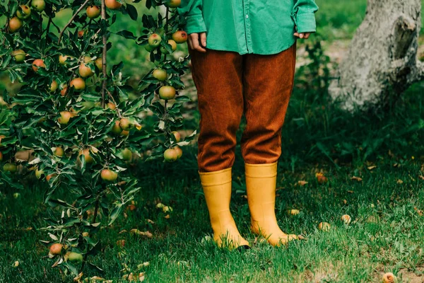 Woman Yellow Boots Stay Next Apple Tree Autumn Season — ストック写真