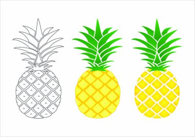 ananas meyvesi çizimi, el çizimi vektör, çizim