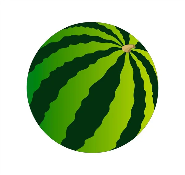 Vektorillustration Der Reifen Wassermelone — Stockvektor