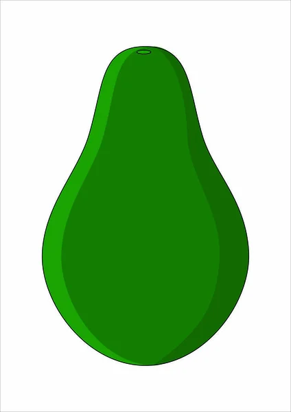 Vector Aislado Fruta Aguacate Verde — Vector de stock