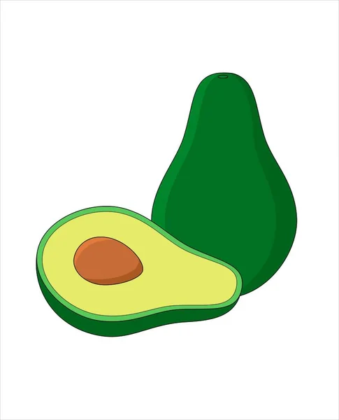 Vector Aislado Fruta Aguacate Verde — Vector de stock