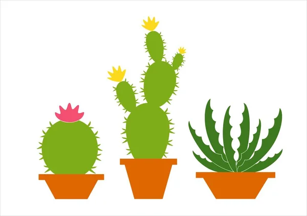 Conjunto Cactus Aislados Sobre Fondo Blanco Conjunto Cactus Verdes Con — Vector de stock