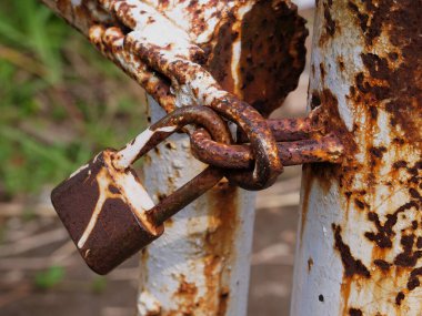 Çöp kutusunun kapısında asılı paslı asma kilit