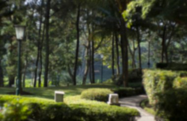 Soyut doğa arkaplanı, odak kaybı