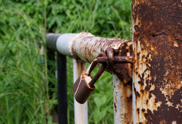 Rusty Visací Zámek Visí Dveřích Odpadkového Koše — Stock fotografie