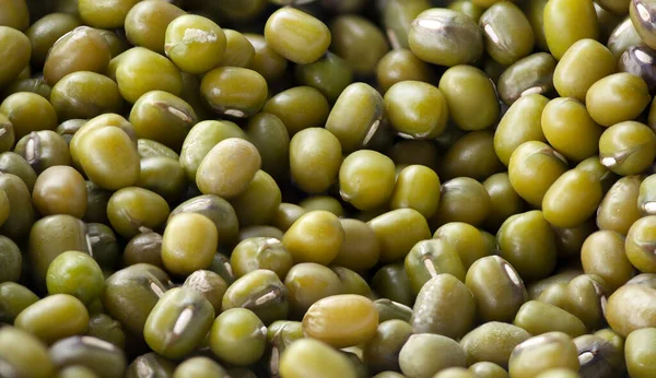 Close Green Bean Seeds Macro Photography — Stock Photo, Image