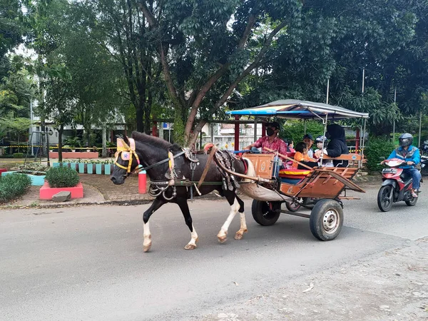 Jakarta Indonesia Marzo 2022 Delman Sull Autostrada Delman Trasporto Tradizionale — Foto Stock