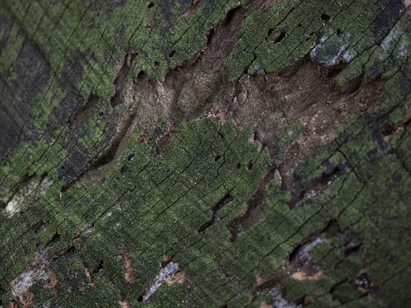 Gedetailleerde Foto Van Een Gebarsten Oud Stuk Hout — Stockfoto