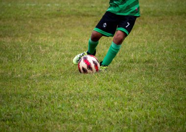 Futbol ayakkabılarıyla bir futbol sahasında salyalarını akıtırken.