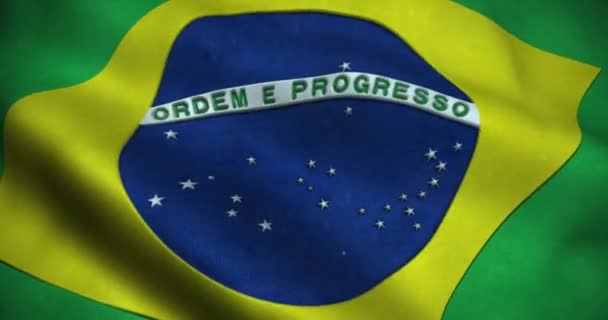 Brezilya Kusursuz Döngü Animasyonunu Sallıyor Çözünürlüğü — Stok video