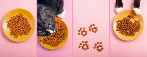 Makanan Kering Untuk Anak Kucing Pada Latar Belakang Kolase Merah Stok Foto