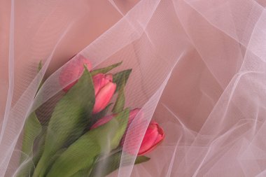 Lale buketi organzayla kaplı. Seçici odaklanma. Kapat..