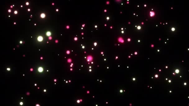 Motion Graphics White Pink Bubbles Floating Screen Overlay Black Background — Stock Video