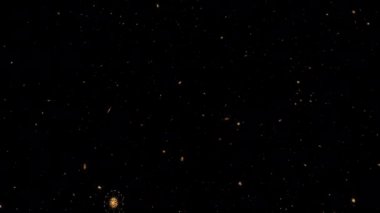 Parlak kar taneleri olan gece yıldızlı gökyüzü ya da yanıp sönen yıldızlar siyah arka planda hareket ediyor. 4K 3D döngü kusursuz arkaplan. Altın soyut ışıltılar parıldıyor Noel kış kar yağışı eğilimi