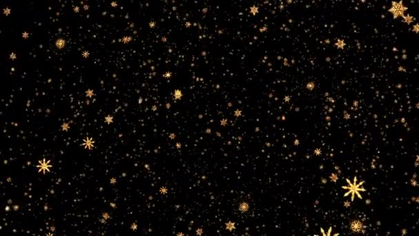 Петли Падения Светящиеся Золотые Цифровые Снежинки Черном Фоне Анимации Золотые — стоковое видео