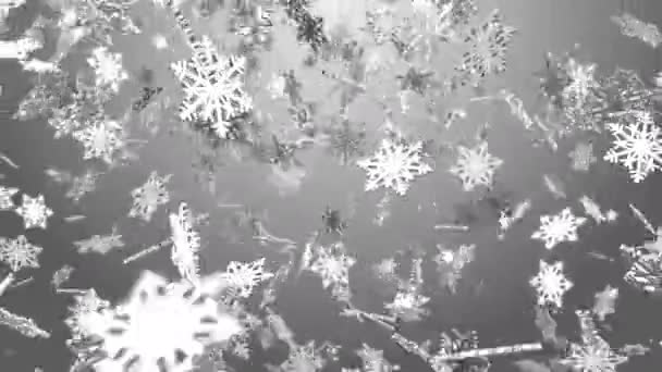 Looping Vallende Witte Digitale Sneeuwvlok Grijze Achtergrond Animatie Witte Sneeuwvlokken — Stockvideo
