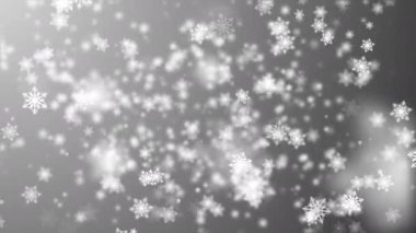 Düşen beyaz kar taneleri ve gri arka planda ışık saçan bokeh ışıkları. 4K 3D Noel arkaplanı. Kutlama, Şükran Günü Mutlu Noeller, Tatil, kış, yeni yıl, kar tanesi, şenlik, kar tanesi. 
