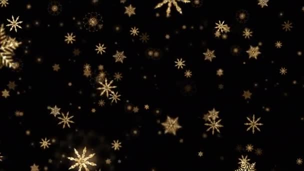 Schleifen Fallen Wunderschöne Goldene Glühende Schneeflocken Auf Schwarzem Hintergrund Animation — Stockvideo