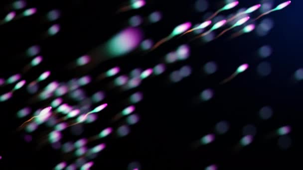 Kleurrijke Sperma Cellen Zwemmen Tegen Donkerblauwe Achtergrond Naadloze Looping Animatie — Stockvideo