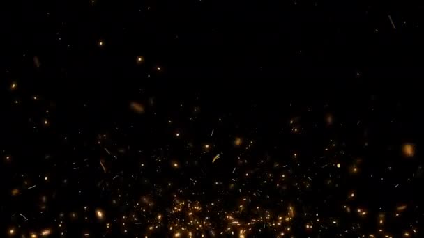 フローアップ火災粒子は プロジェクトのオーバーレイに使用される黒い背景に立ち上がる火花 3Dアニメーションの燃えるようなオレンジ輝く飛行員燃焼灰粒子 — ストック動画