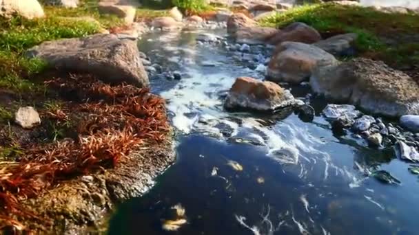 Vista Las Bacterias Chloroflexus Aurantiacus Aguas Termales Parque Nacional Chae — Vídeos de Stock